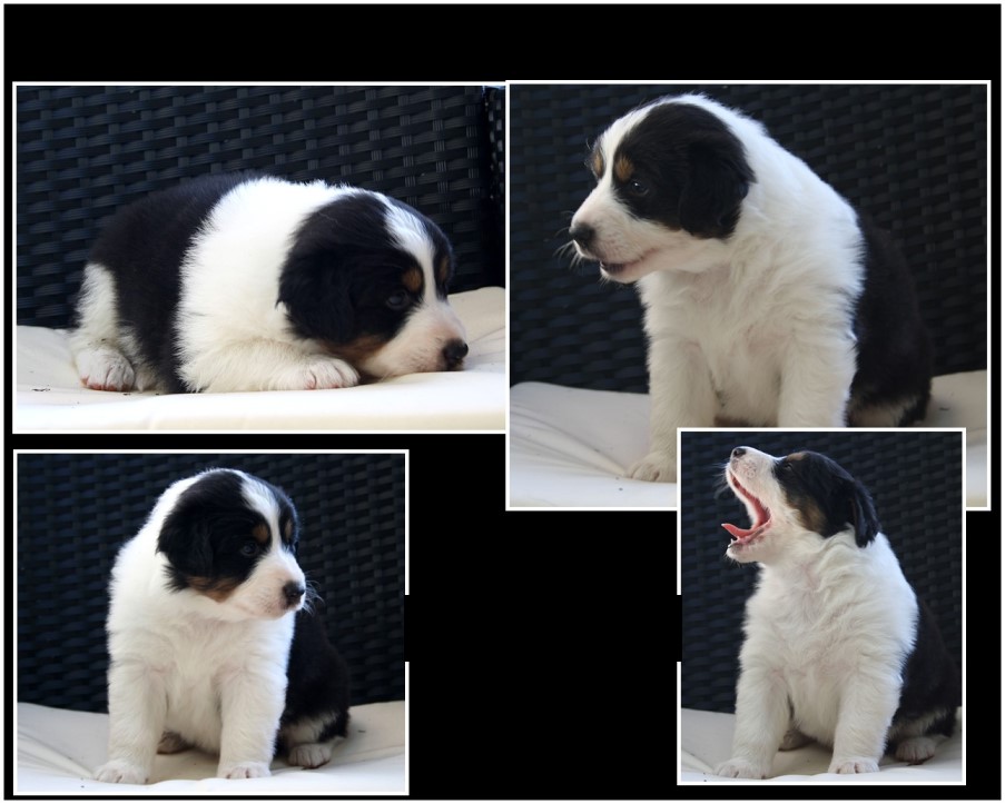 CodyAdrien-Unbenannt - 2