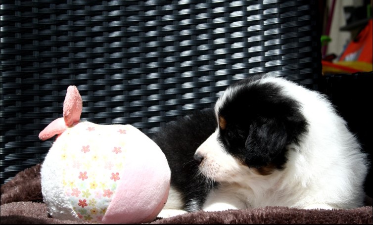 CodyCody5weeksIMG_1247