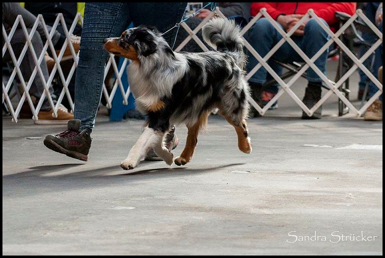 Dettelbach17265299_1367441026647809_4828982907544839775_n