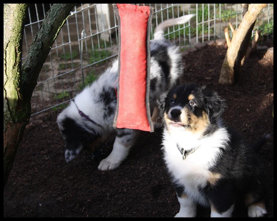 Eddie12369250_1243973828962357_1900473014912544174_n