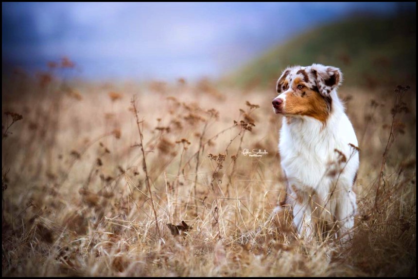 Erin-Fabi29243584_2135994069760324_876366000_o