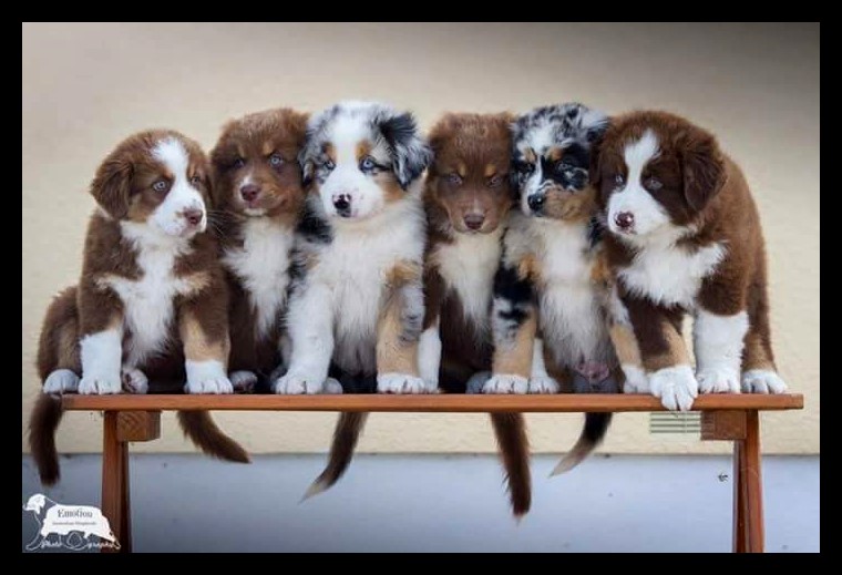 Hunter-Sunny12046616_998897153464179_1262031697229467362_n