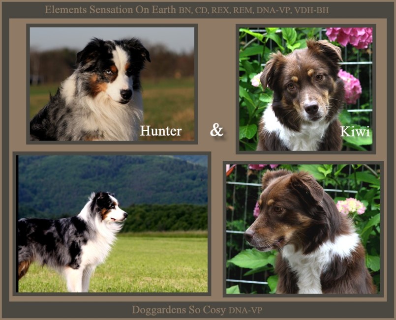 Hunter & KIWI-kleinOart2 - 1