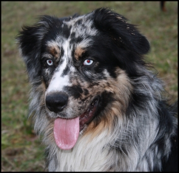 IMG_1529-filou-klein