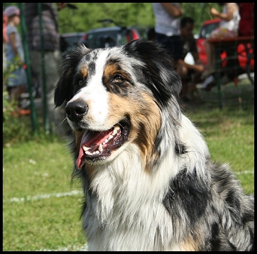 IMG_3853-travis-klein