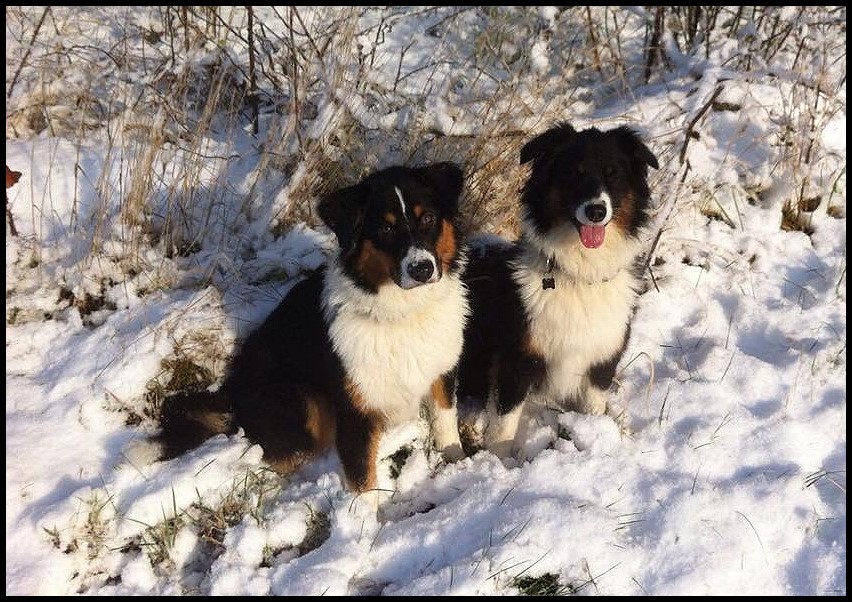 Lina25485198_2020961697930229_654183216_o