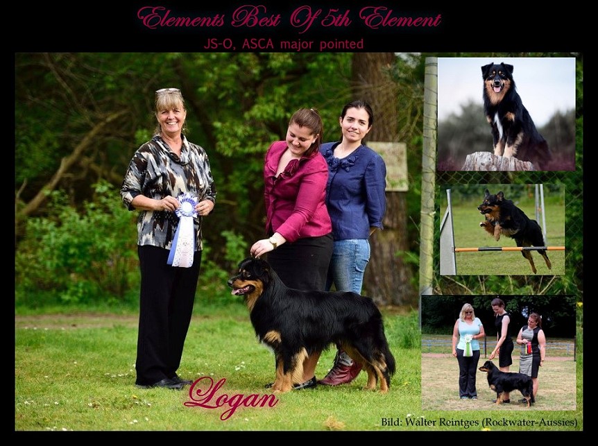 LogicollaLoganWD-klein18260903_827888897358848_2016100694_o