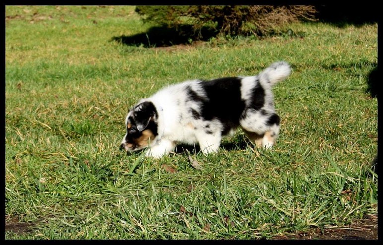 Luckky12308137_1234207249939015_5858600493472290465_o