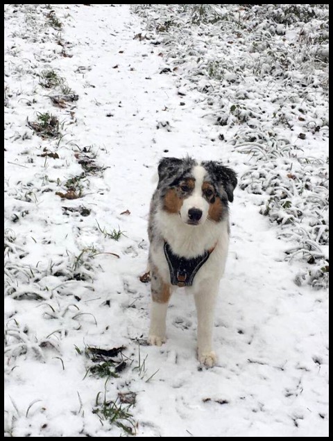 Meryl25465725_2020961724596893_446364557_n