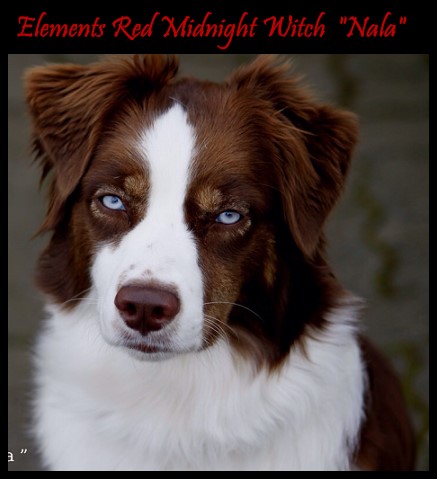 NalaNALAb2cef5f664edb0c1c9d60566de2aa49a