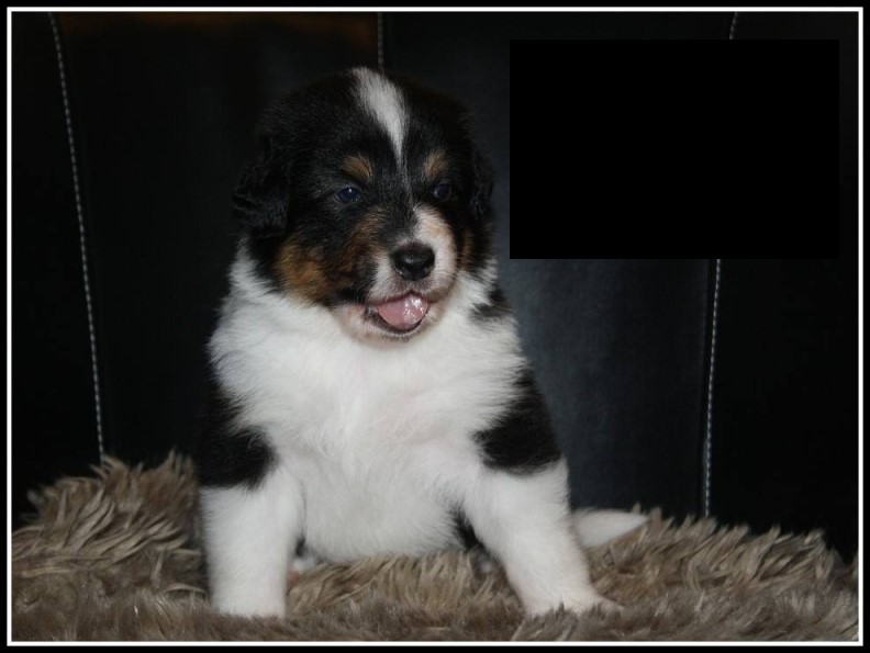 Nike18672979_1775465069146561_3832154338323335918_o