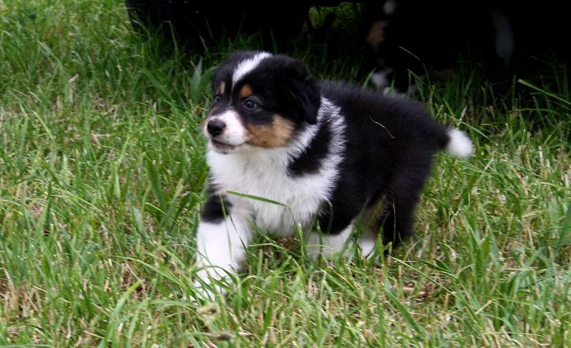 Nike19030171_1798189760207425_3983272465157919705_n