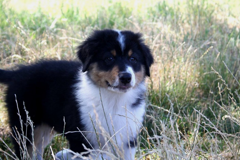 Nike19679148_1829124013780666_4554216797090312580_o