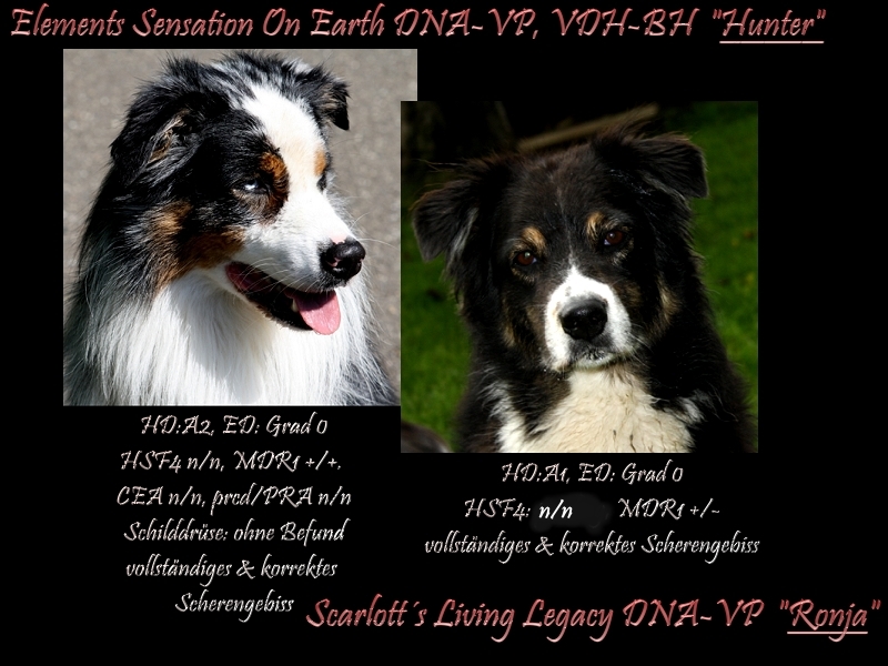 Ronja_und_Hunter_-_1