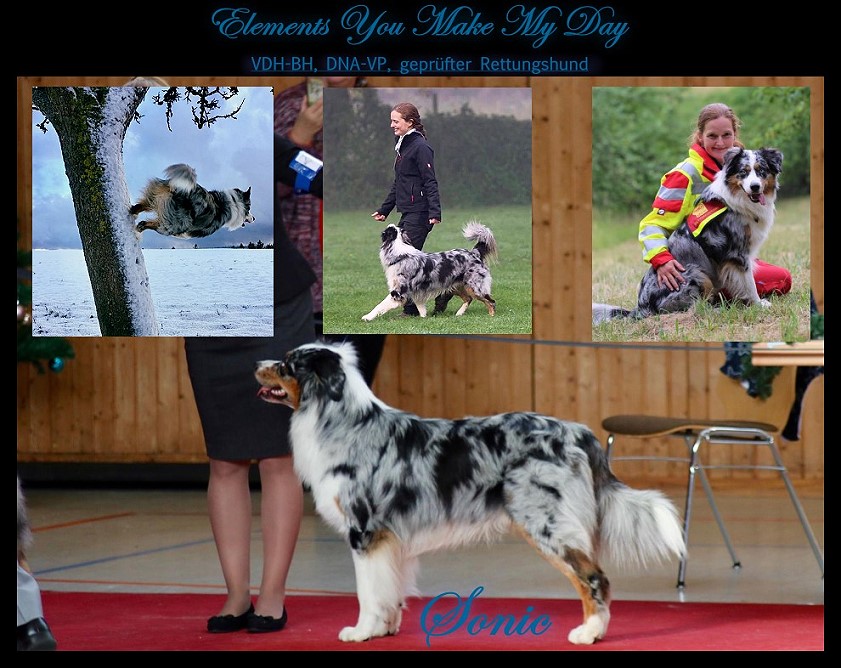 SonicCollaSonic25398033_2020312187995180_2195996127829614286_o