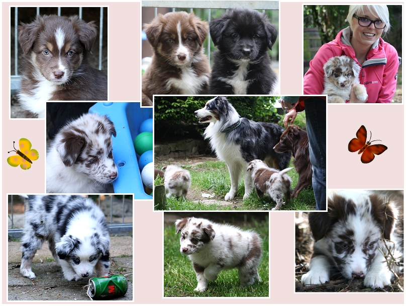 besuch23.05.2014Unbenannt_-_6