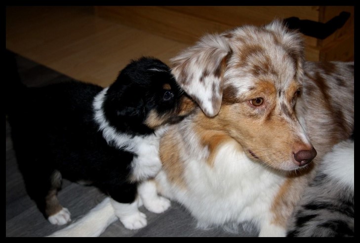 eddie12238269_1226947823998291_8183062796218316585_o