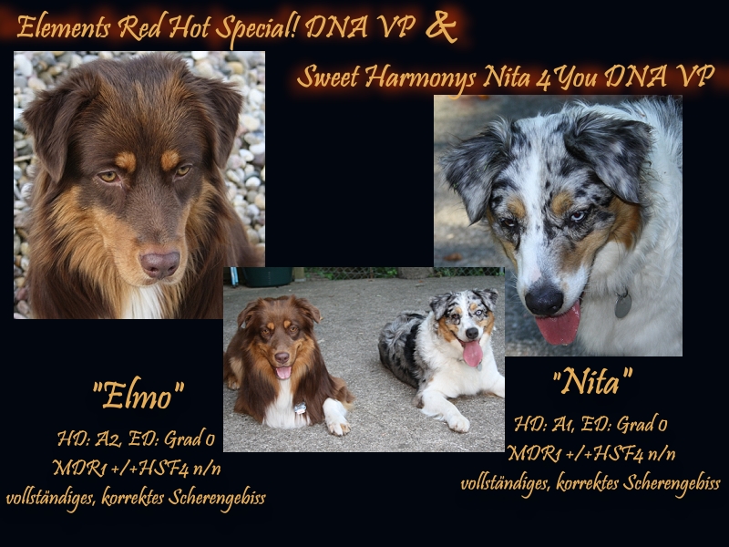 elmo-wurfplanung_-_1