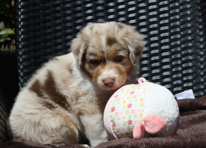 erin-kl5weeksIMG_1284