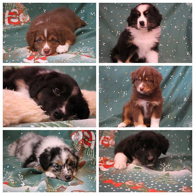 hunter-Nono24231788_1366933790095708_7373370604006203286_n