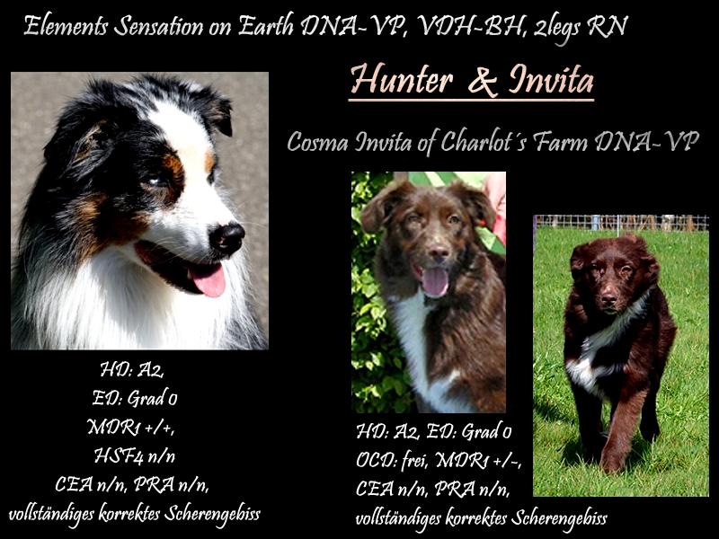 invita-hunter-logo_1