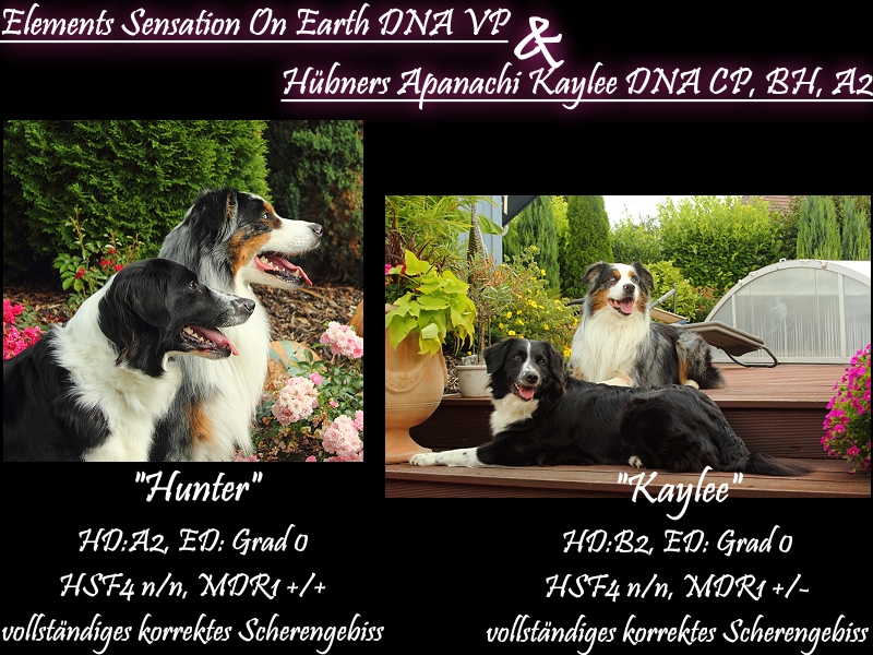 kaylee-hunter-anpaarung_-_1