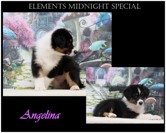 klAngelinaUnbenannt - 6