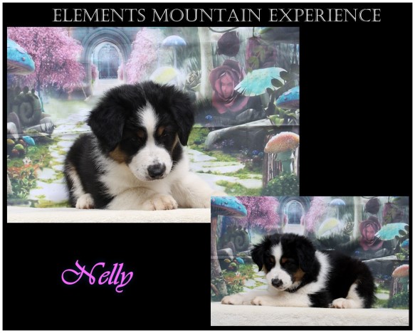 kleinNellyUnbenannt - 5