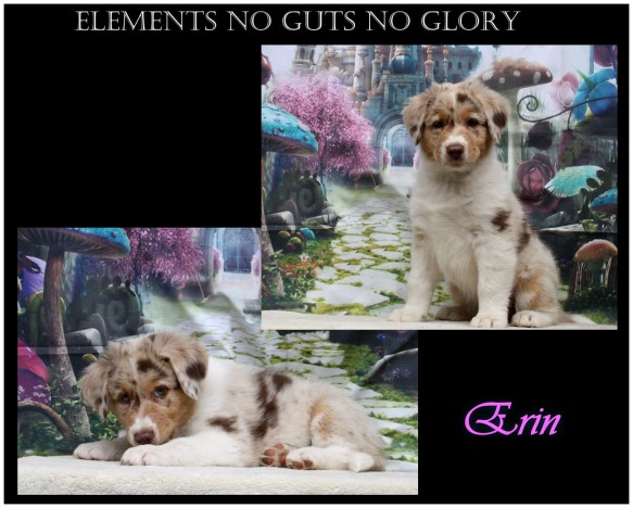 kleinerinUnbenannt - 8