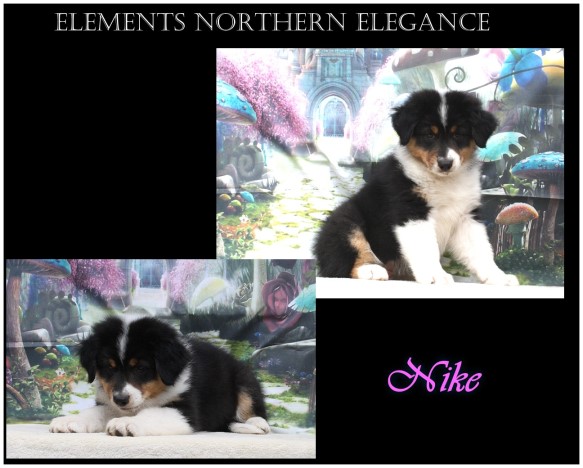 kleinnikeUnbenannt - 7