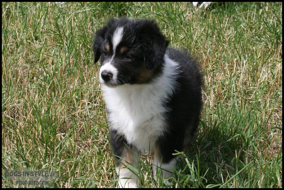 lina19113975_1362128723863663_4871980525932959302_n