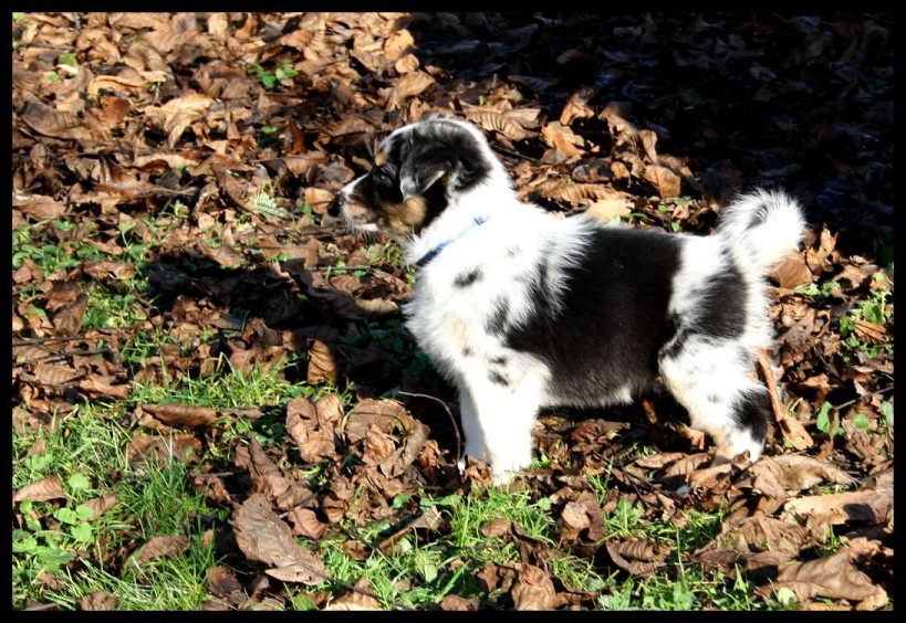 lucky12314655_1234206033272470_4023441535238112846_o