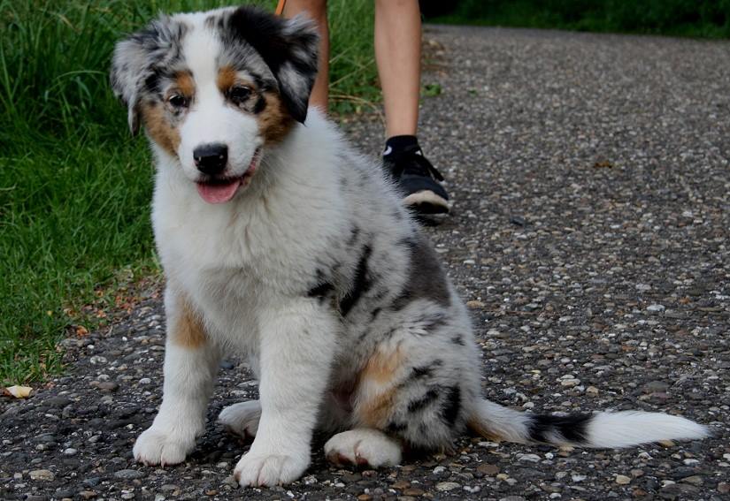 meryl20294046_1854347321258335_4344187985585286284_n