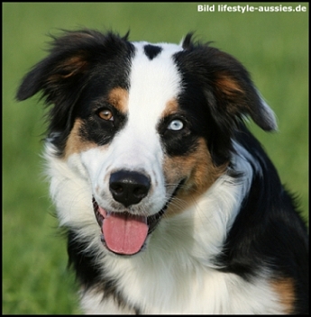 tess-18.09.2010-klein