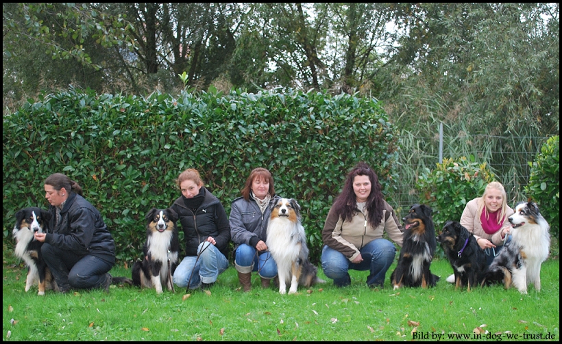 welpentreff-2010-pups2008