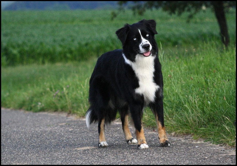 KleinMillaIMG_5611