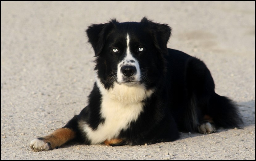 millaIMG_1786