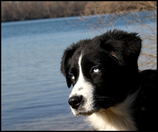 millaIMG_8041