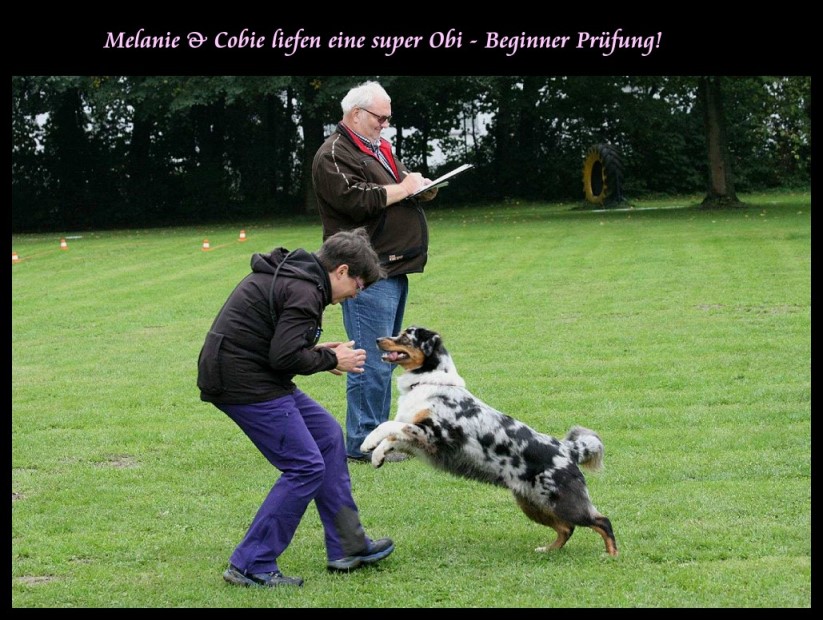 cobieOB021951516_1462386097171258_1108164219_o