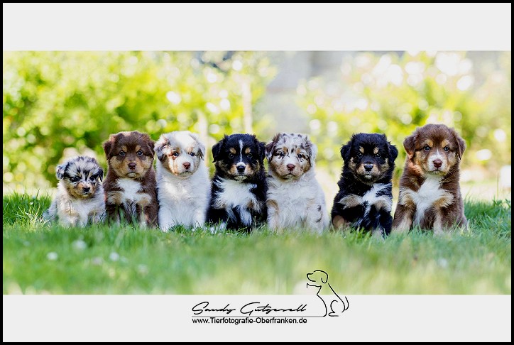 elmi-yuma11713851_1035987956412796_417677327689647187_o