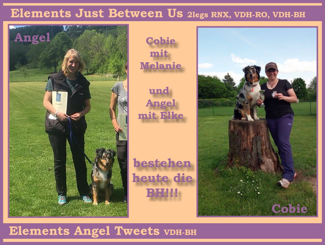bh-angel-cobie - 1