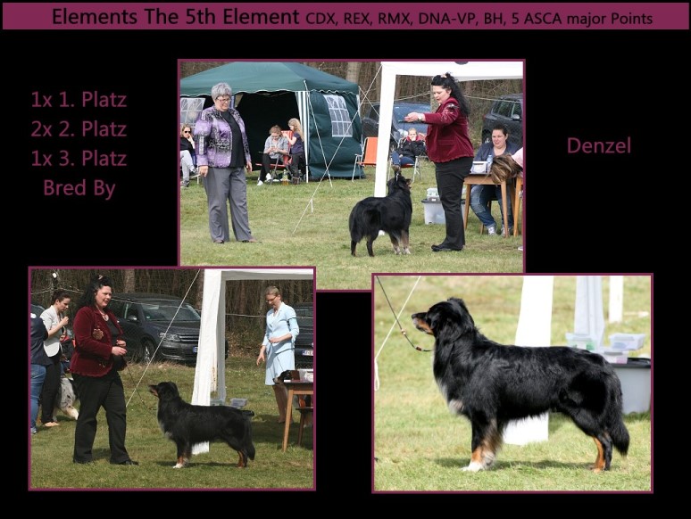 ADenzel-Show - 1