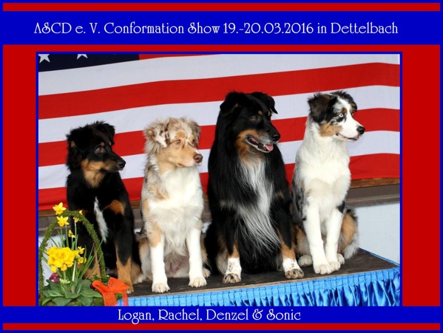 Dettelbachklein2016Unbenannt - 8