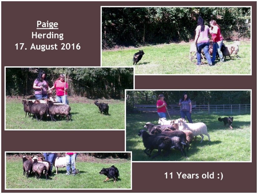 HammaPaige-H�ten2016Unbenannt - 2