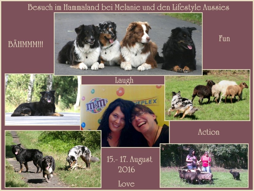 Hammalandt-klein - 1