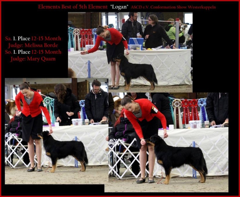 kleinLogan14590024_1507719359254468_5083106623068385565_o