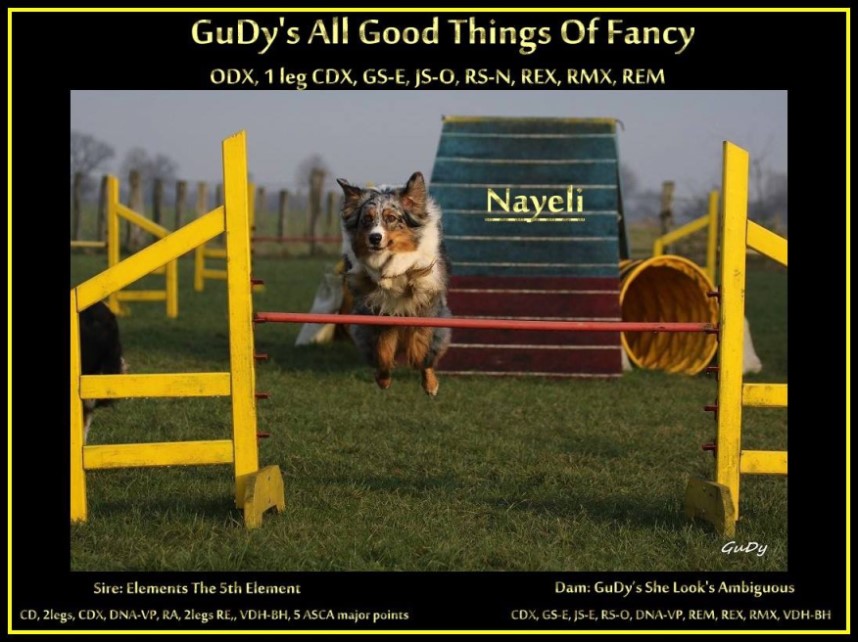 Nayel-agi-titel