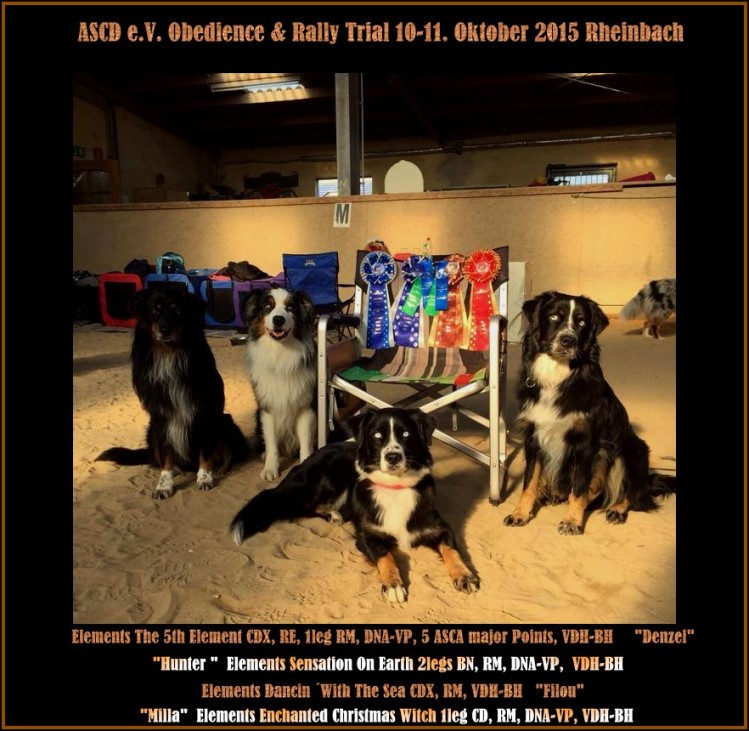 Rheinbach2015-kleinOkotber