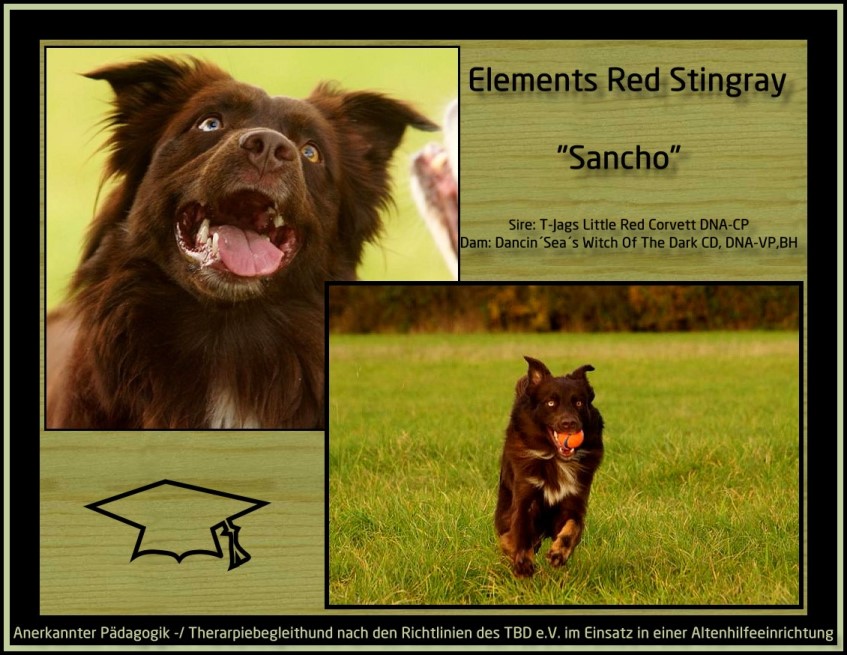 Sancho-be -klein 1