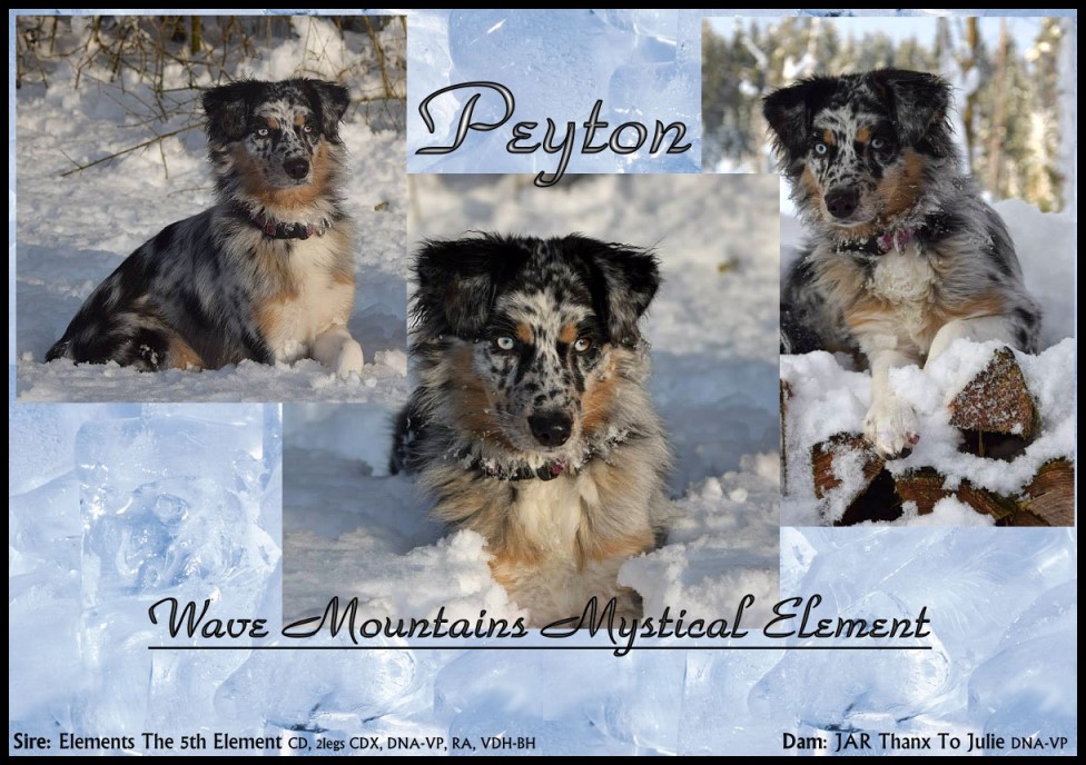 kleinPeyton - 3